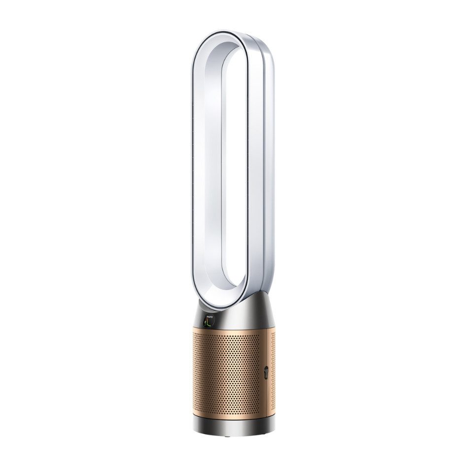 Luftreiniger Dyson Purifier Cool PC2 De-Nox