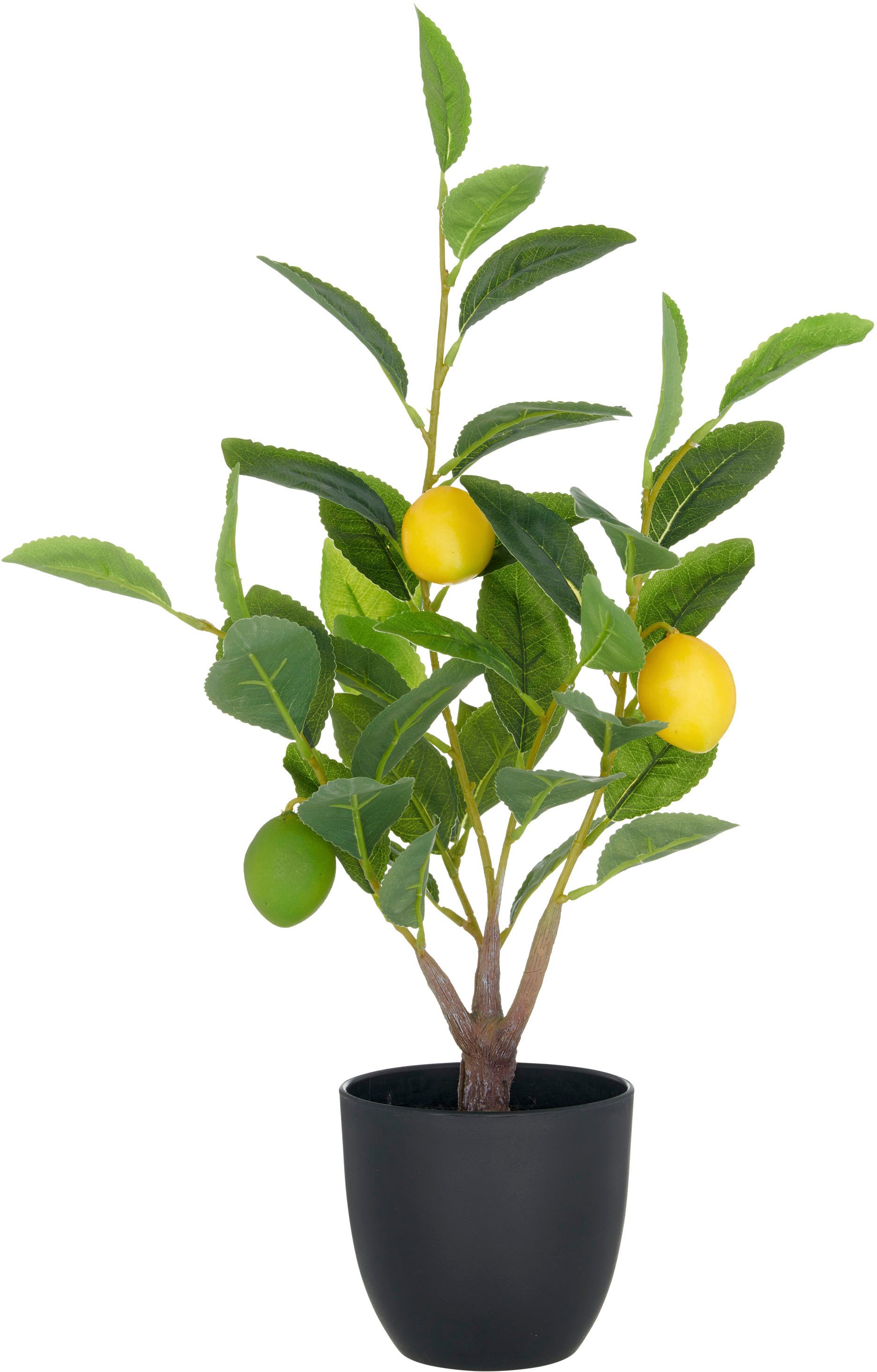 Kunstbaum Zitrone, Creativ green, Höhe 48 cm, mit detailgetreuer Gestaltung