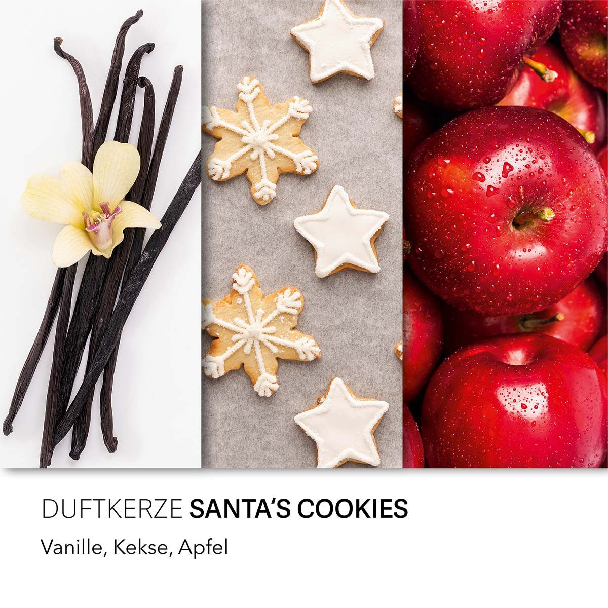 Candle BROTHERS Duftkerze Santas Cookies - günstig online kaufen