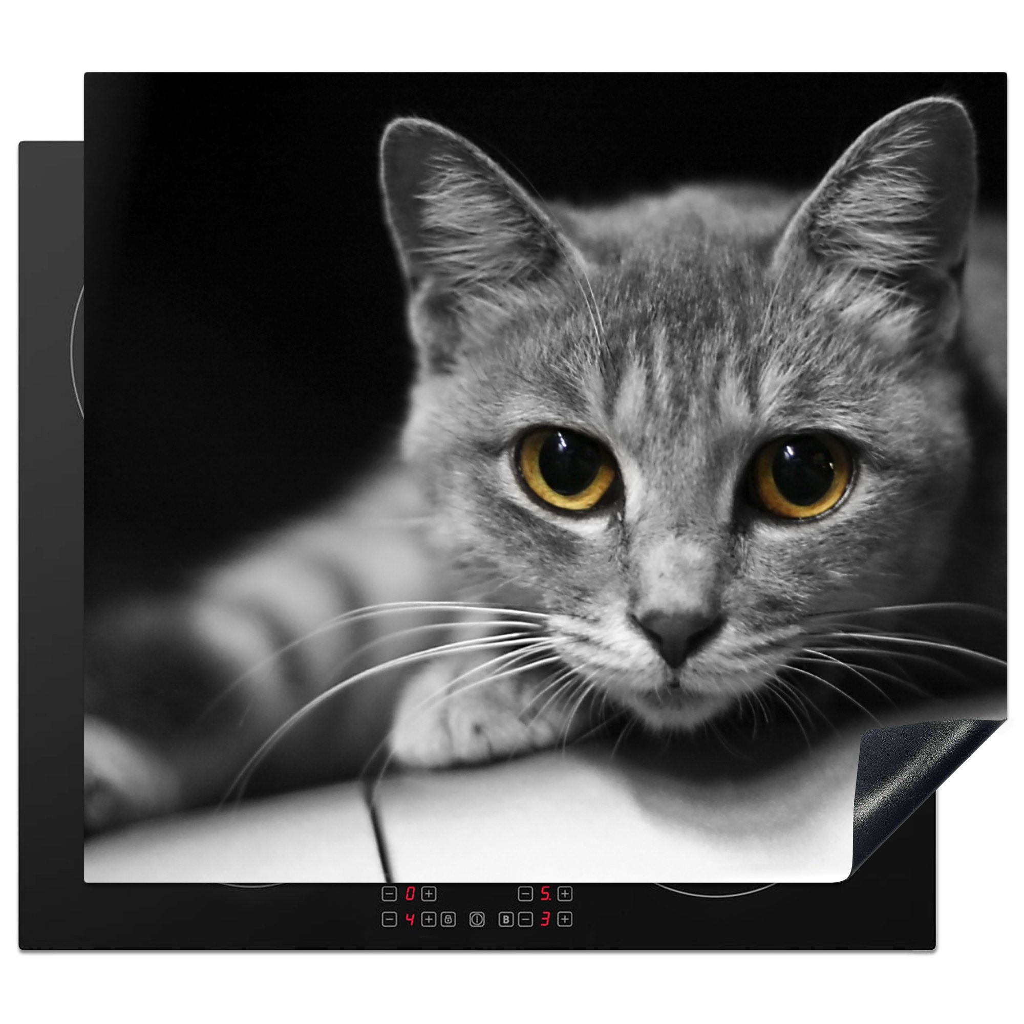 MuchoWow Herdblende-/Abdeckplatte Katze - Tier - Makro, Vinyl, (1 tlg), 59x52 cm, Ceranfeldabdeckung für die küche, Induktionsmatte | Herdabdeckplatten