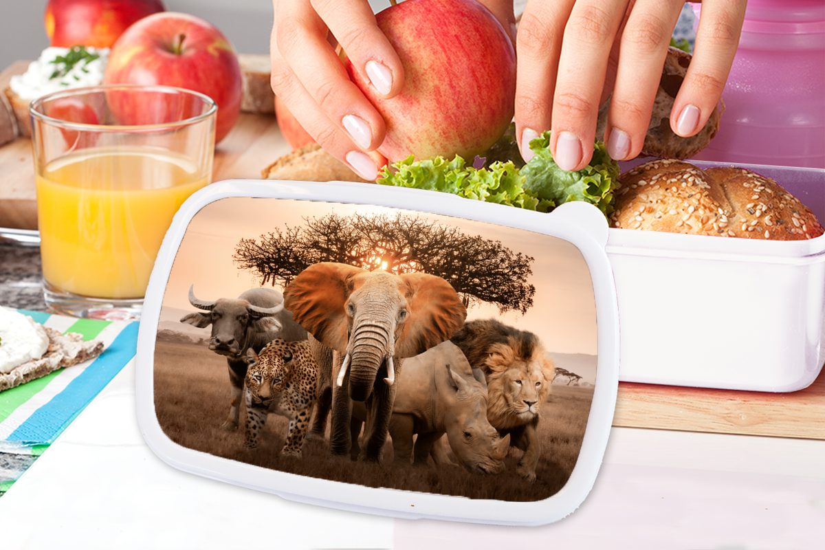 MuchoWow (2-tlg), - und Jungs und Lunchbox Kinder - Kunststoff, weiß Tiere Erwachsene, für Mädchen Elefant Brotbox für Brotdose, Löwe,
