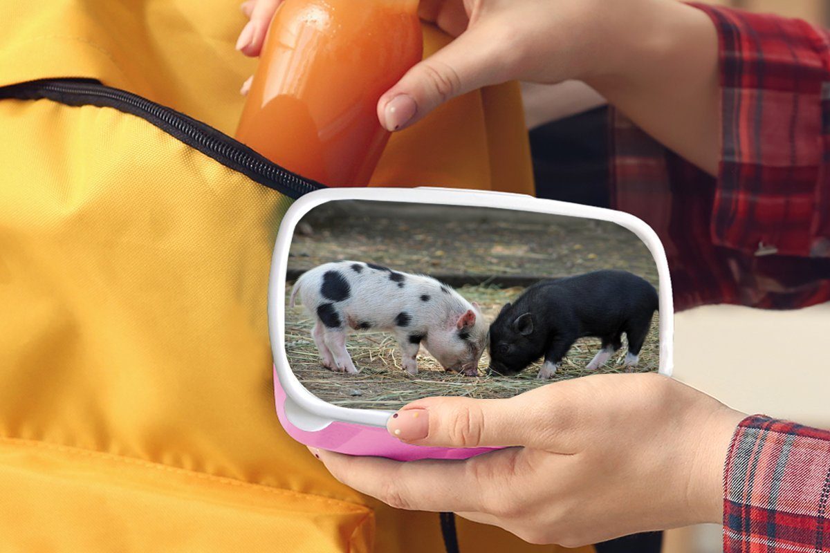 MuchoWow Lunchbox Schweine - Ferkel (2-tlg), rosa Kinder, Brotdose Kunststoff Mädchen, für Snackbox, Erwachsene, Brotbox - Stroh, Kunststoff