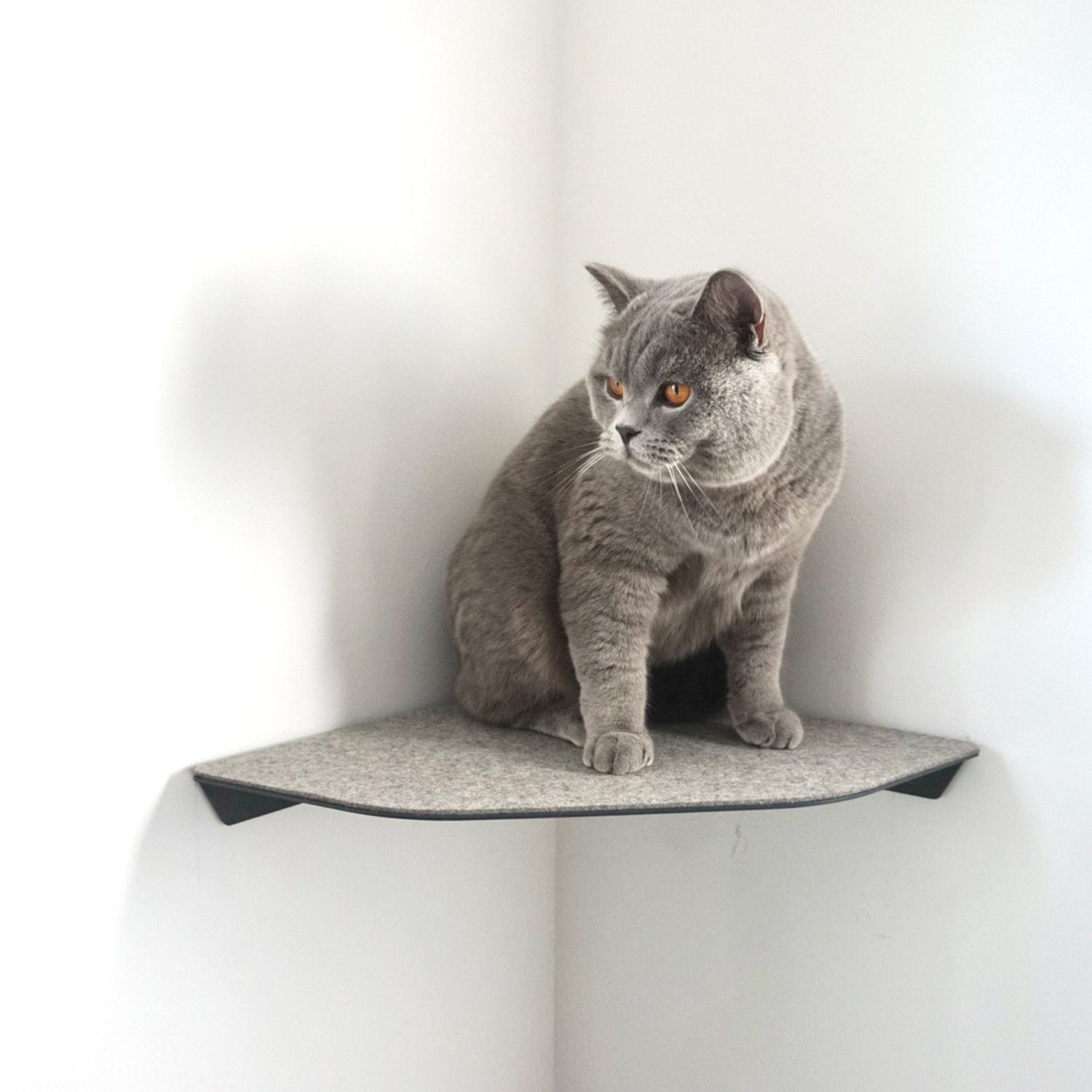 LucyBalu Katzenliege CORNER Katzenliege