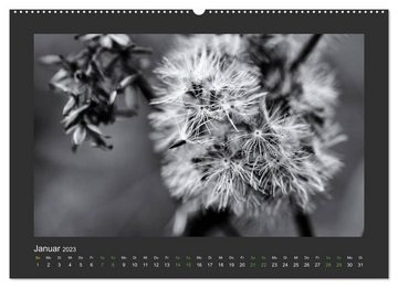 CALVENDO Wandkalender Pflanzen in Schwarz und Weiss / CH-Version (Premium, hochwertiger DIN A2 Wandkalender 2023, Kunstdruck in Hochglanz)