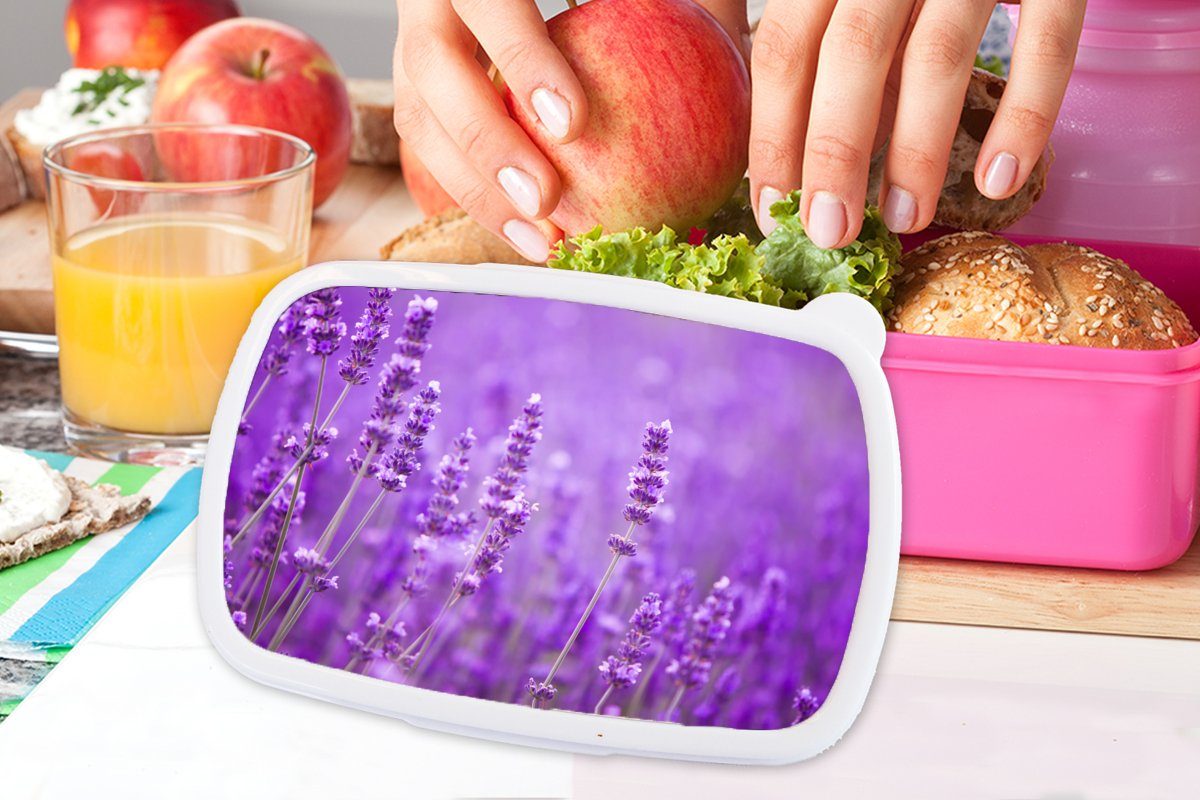 MuchoWow Lunchbox Lavendel - Nahaufnahme rosa Kinder, Snackbox, Kunststoff - Lila, Kunststoff, für Brotdose Mädchen, (2-tlg), Brotbox - Erwachsene, Blumen