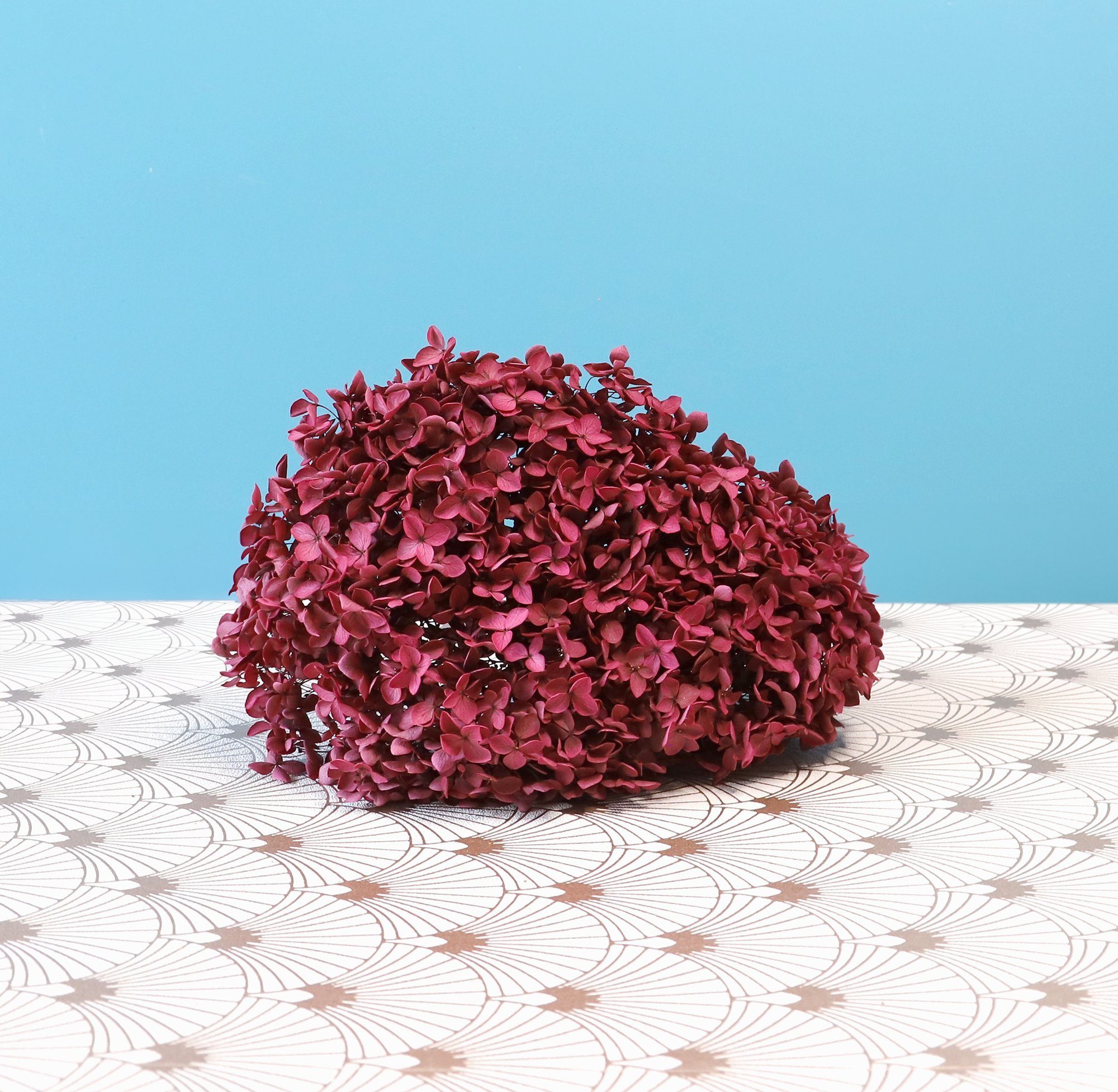 Hortensie Trockenblume in Getrocknete - Trockenblumen Farben Kunstharz.Art vielen als Dekoration, Weinrot