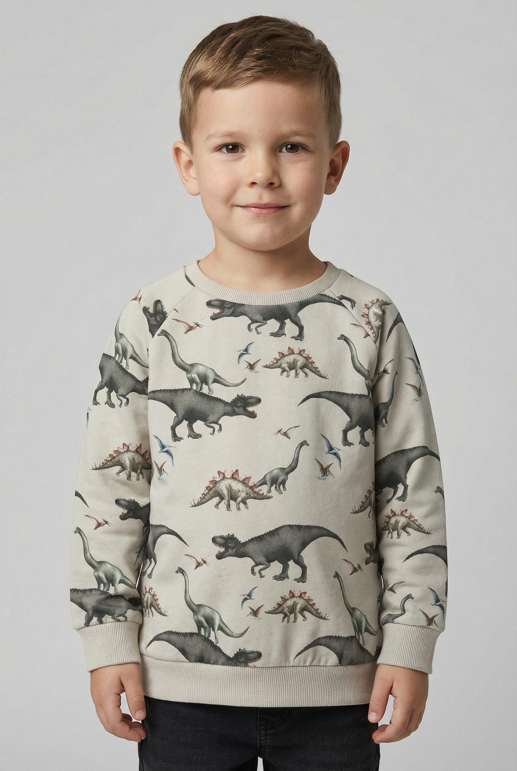 Name It Sweatshirt NMMBERTIL LS NREG SWEAT BRU