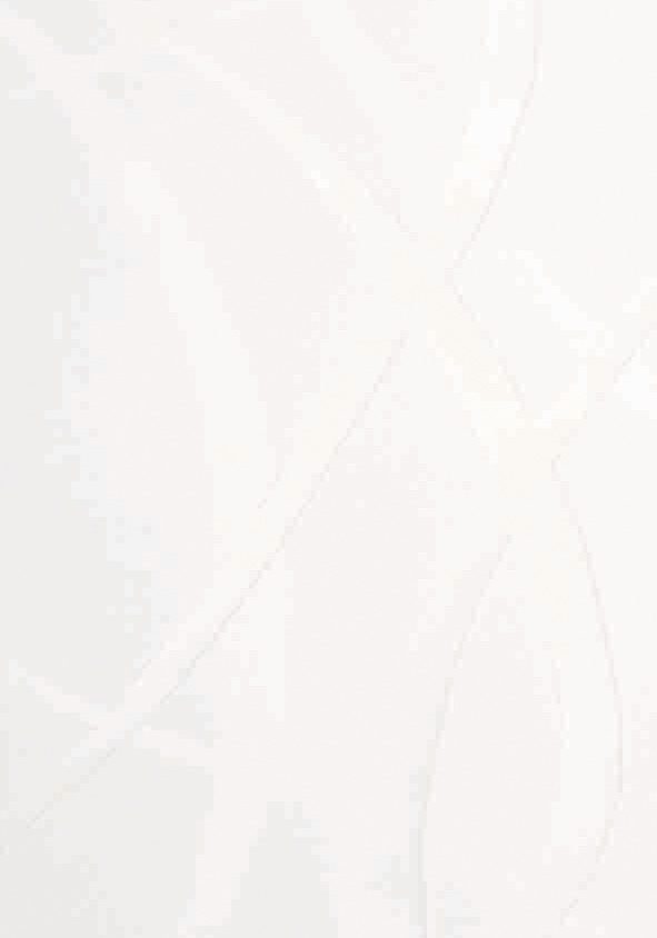 Neutex for you! Schiebegardine Rumbek (1 St), Klettband, halbtransparent, Scherli, inkl. Befestigungszubehör, Breite: 57 cm