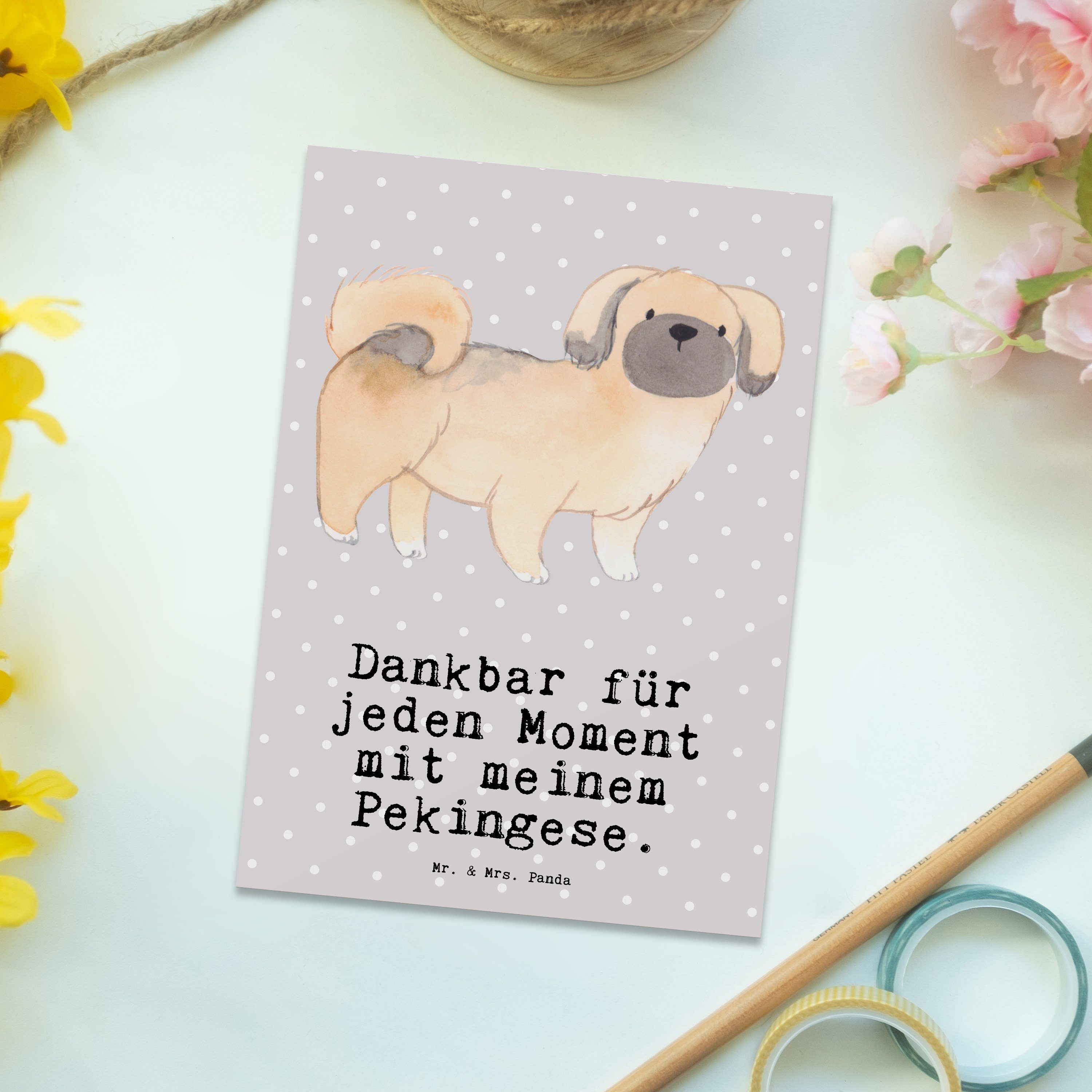 Moment Mr. Pekingese Mrs. Pastell Postkarte Panda & Peking-Palasthund, Geschenk, Grau - Schenk -