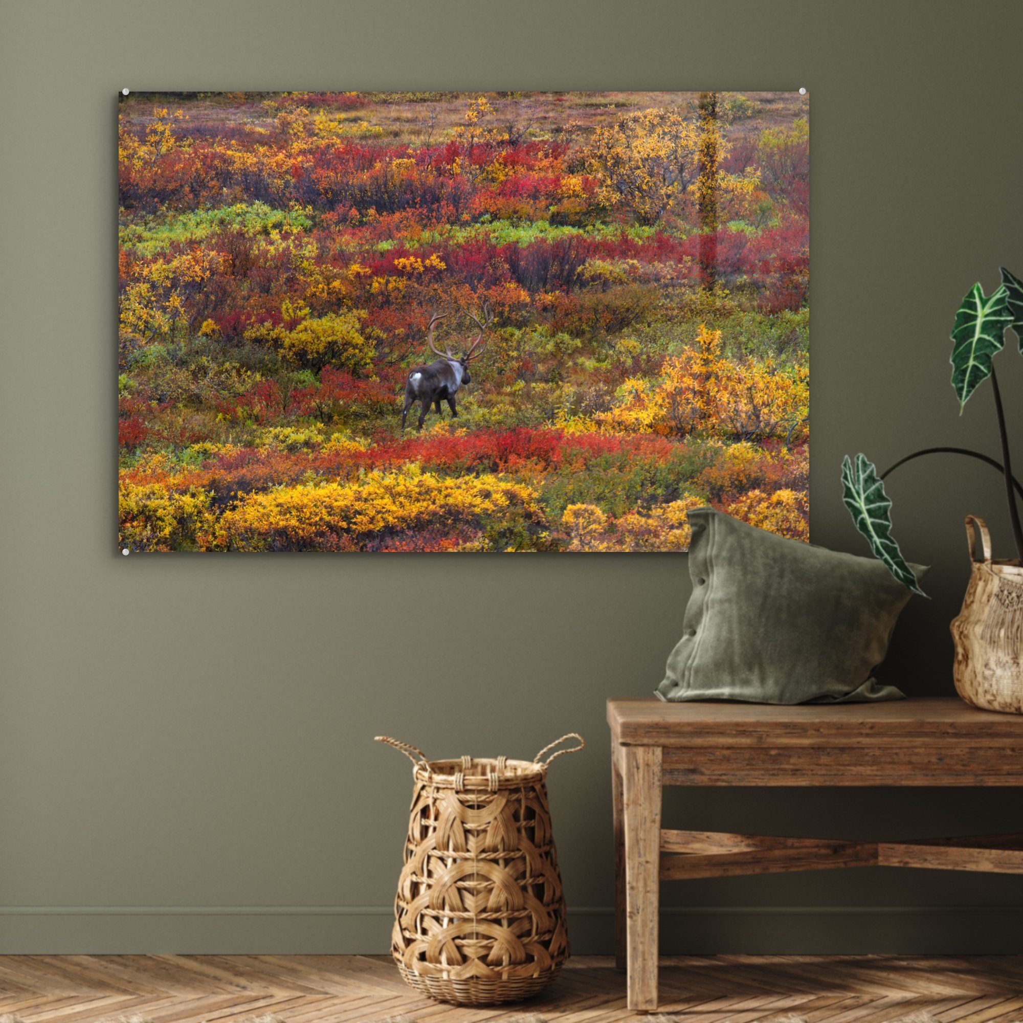 MuchoWow Acrylglasbild Rentiere St), Acrylglasbilder Herbst, & Schlafzimmer Tundra auf (1 einer im Wohnzimmer