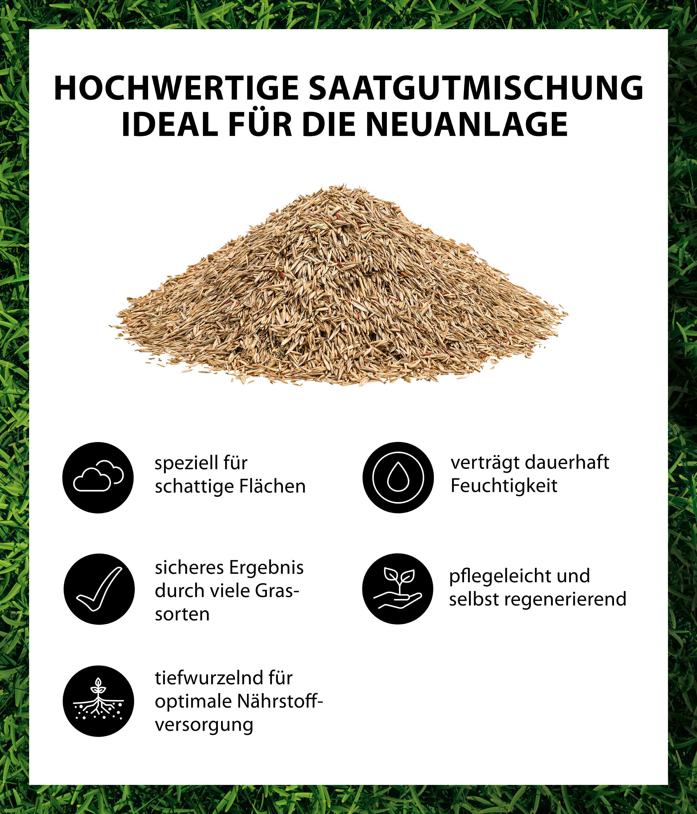 Dehner Rasensamen Schattenrasen Saatgut, robust, pflegeleicht, verschiedene Größen, Für schattige Flächen, schnell keimend, selbstregenerierend