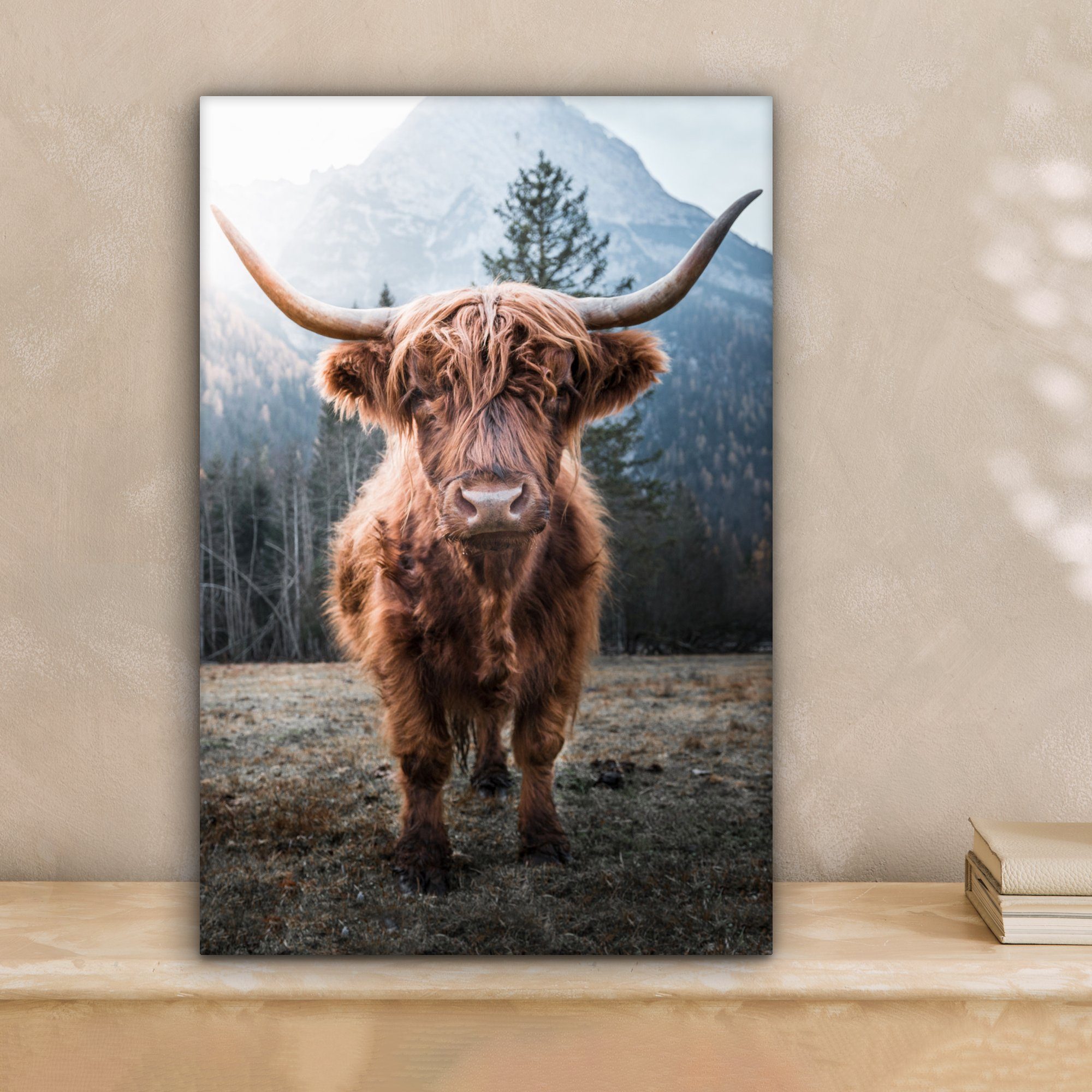 OneMillionCanvasses® Leinwandbild Schottische Highlander - Natur günstig online kaufen