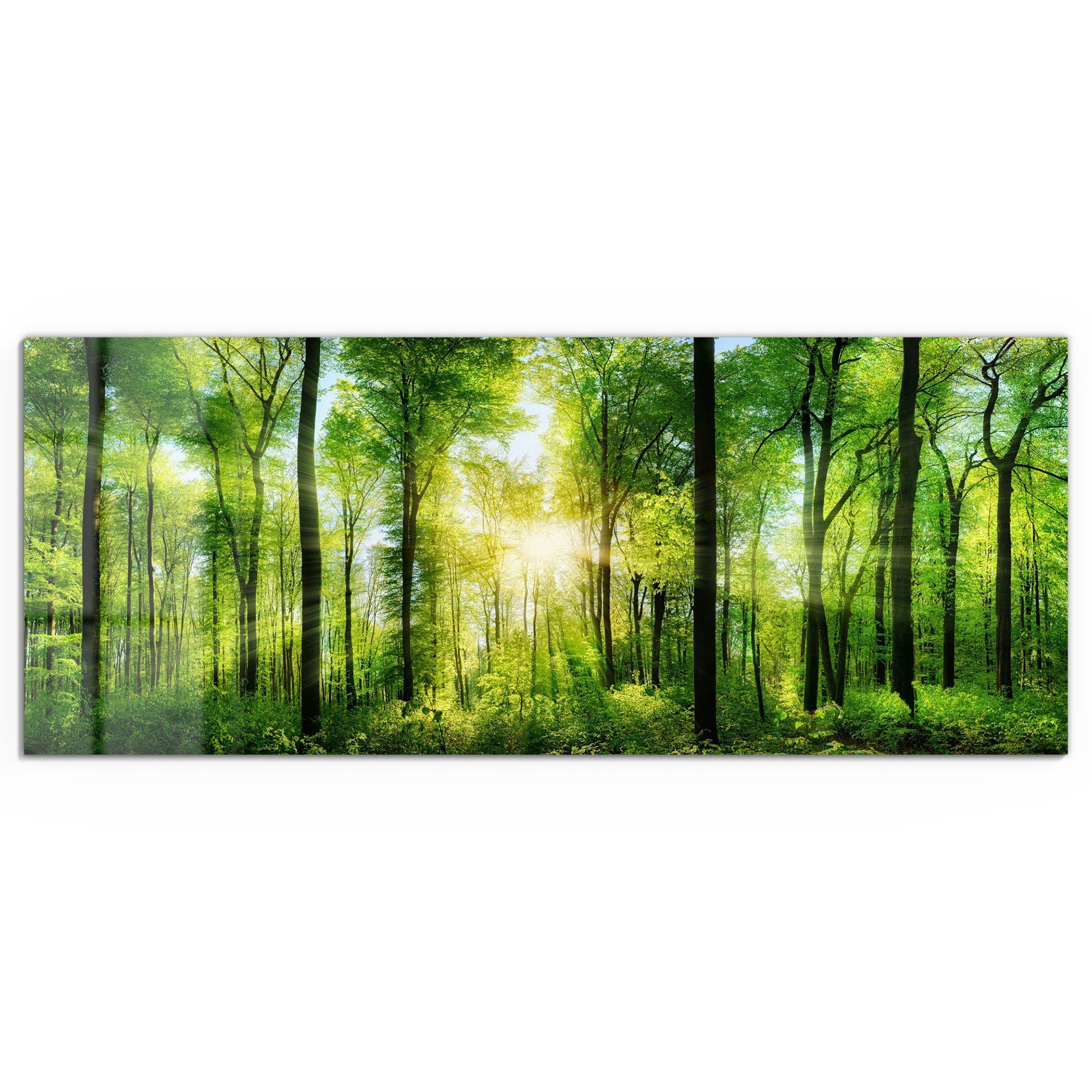 DEQORI Glasbild 'Sonne durchbricht Wald', 'Sonne günstig online kaufen