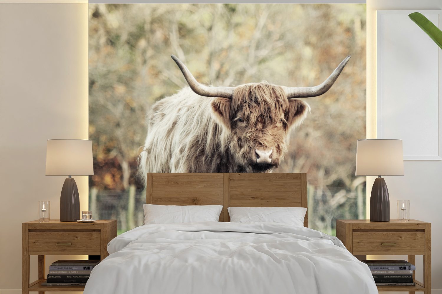 Matt, für (5 Schlafzimmer, bedruckt, MuchoWow oder - Scottish Vinyl Wohnzimmer Highlander St), Herbst, - Wandtapete Tapete Natur Fototapete Bull