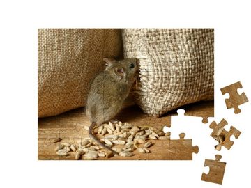 puzzleYOU Puzzle Wühlmaus knabbert am Getreidesack im Lagerhaus, 48 Puzzleteile, puzzleYOU-Kollektionen Mäuse, Insekten & Kleintiere
