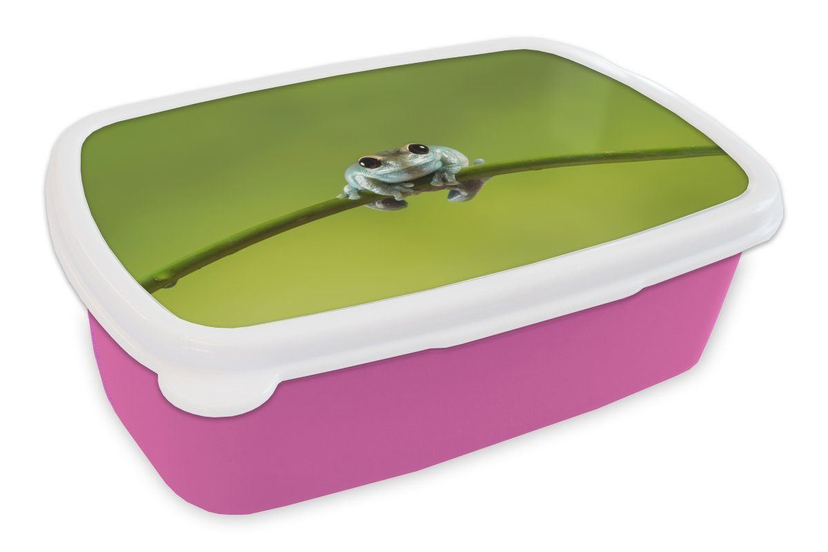 MuchoWow Lunchbox Frosch - Zweig - Grün, Kunststoff, (2-tlg), Brotbox für Erwachsene, Brotdose Kinder, Snackbox, Mädchen, Kunststoff rosa