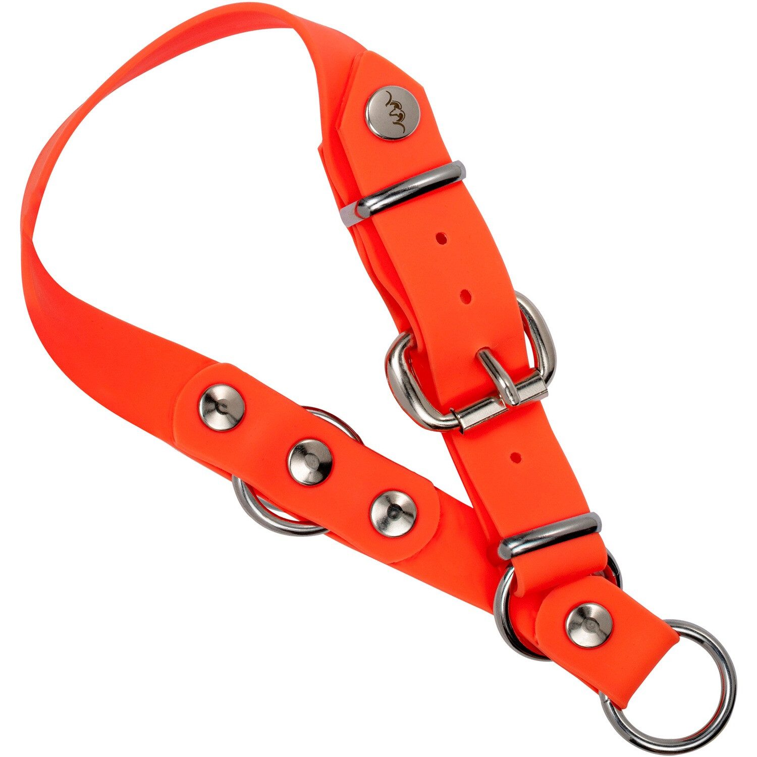 Blaser Hunde-Halsband Hundehalsung Professional Orange