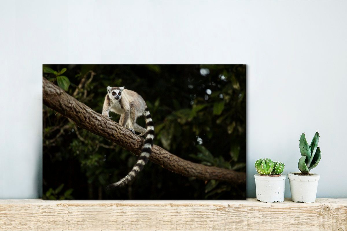 OneMillionCanvasses® cm (1 - Leinwandbilder, Leinwandbild Affe Zweig Tier, Aufhängefertig, - St), Wanddeko, Wandbild 30x20
