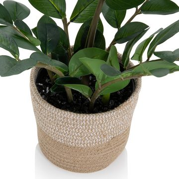 Kunstpflanze Kunstpflanze ZAMIE Kunststoff, Stoff Zamioculcas Zamiifolia, hjh OFFICE, Höhe 50.0 cm, Pflanze inkl. Rattankorb