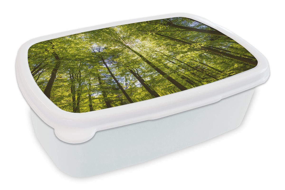 MuchoWow Lunchbox Wald - Sommer - Laub, Kunststoff, (2-tlg), Brotbox für Kinder und Erwachsene, Brotdose, für Jungs und Mädchen weiß
