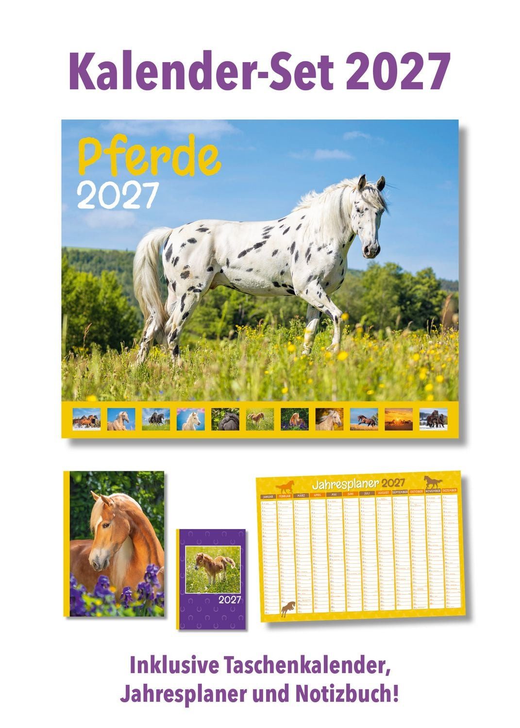 Buchkalender Pferde Kalenderpaket 2027