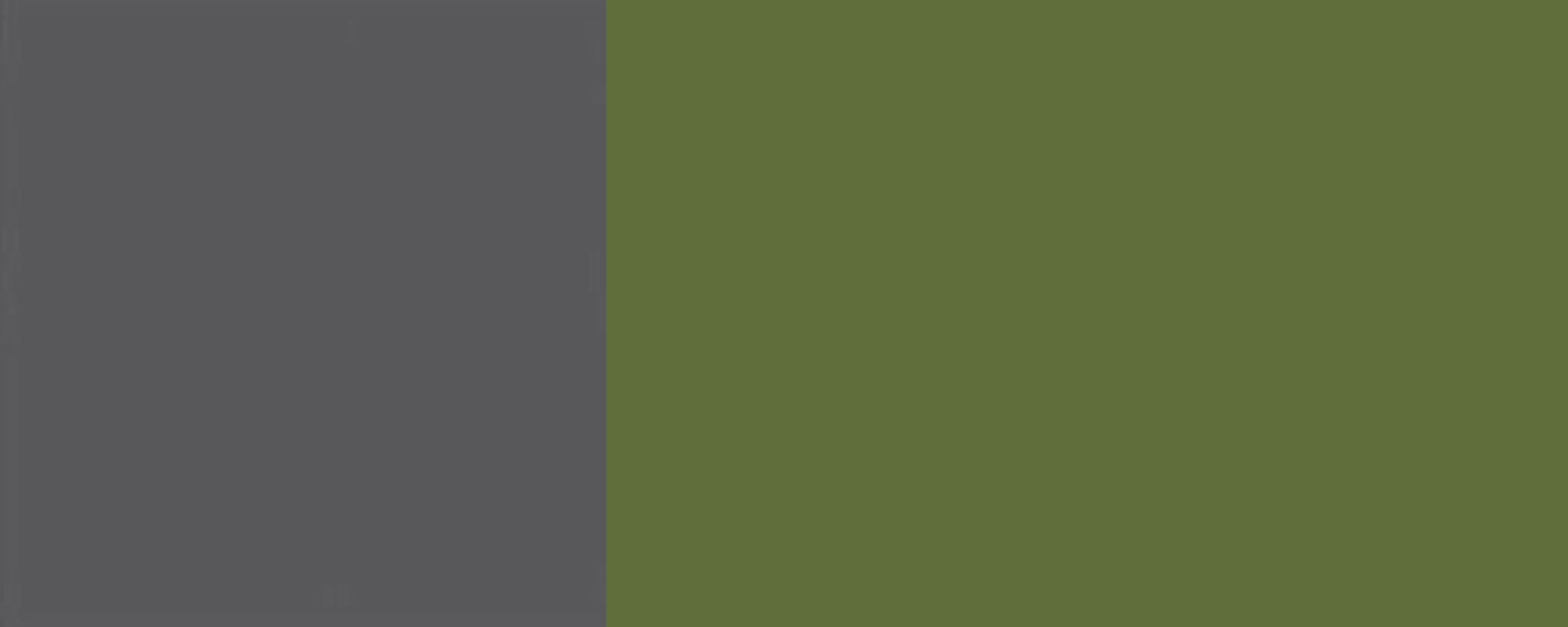 Feldmann-Wohnen Klapphängeschrank wählbar RAL Front- farngrün matt Rimini und 60cm Korpusfarbe 1-türig (Rimini) 6025