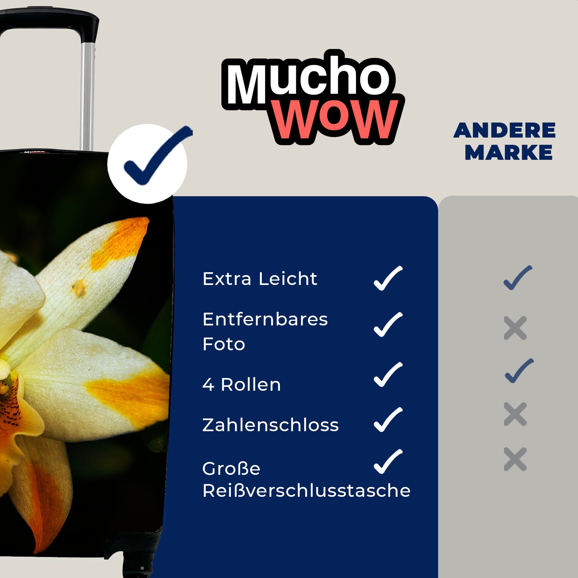 Rollen, Reisetasche mit Handgepäckkoffer Handgepäck Orchideenblüten, für Zwei rollen, MuchoWow 4 Reisekoffer Ferien, Trolley,