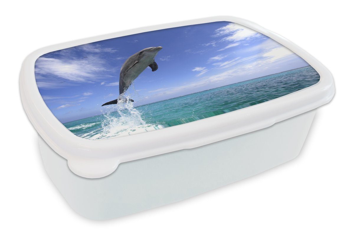 MuchoWow Lunchbox Delfin - Meer - Himmel, Kunststoff, (2-tlg), Brotbox für Kinder und Erwachsene, Brotdose, für Jungs und Mädchen weiß
