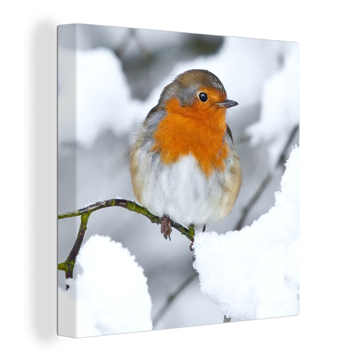 OneMillionCanvasses® Leinwandbild Rotkehlchen - Schnee - Winter, (1 St), Leinwand Bilder für Wohnzimmer Schlafzimmer