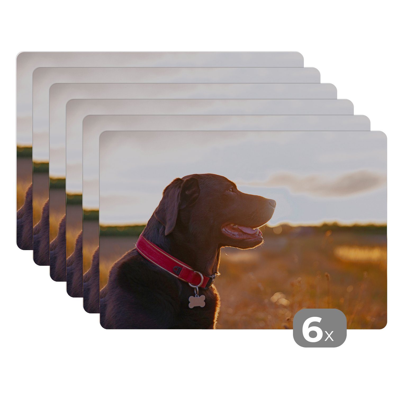 Platzset, Ein Labrador Retriever bei Sonnenuntergang, MuchoWow, (6-St), Platzset, Platzdecken, Platzmatte, Tischmatten, Schmutzabweisend