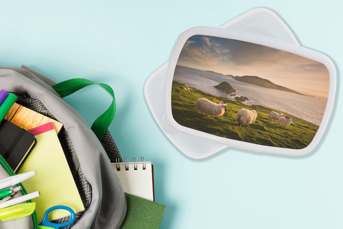 MuchoWow Lunchbox für Mädchen Brotbox und (2-tlg), der an für Jungs Kinder Küste, weiß Kunststoff, Brotdose, Erwachsene, und irischen Schafe