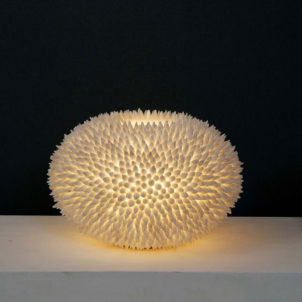 Holländer Tischleuchte Sirena Bianco Muscheln-Fiberglas Weiß weiss