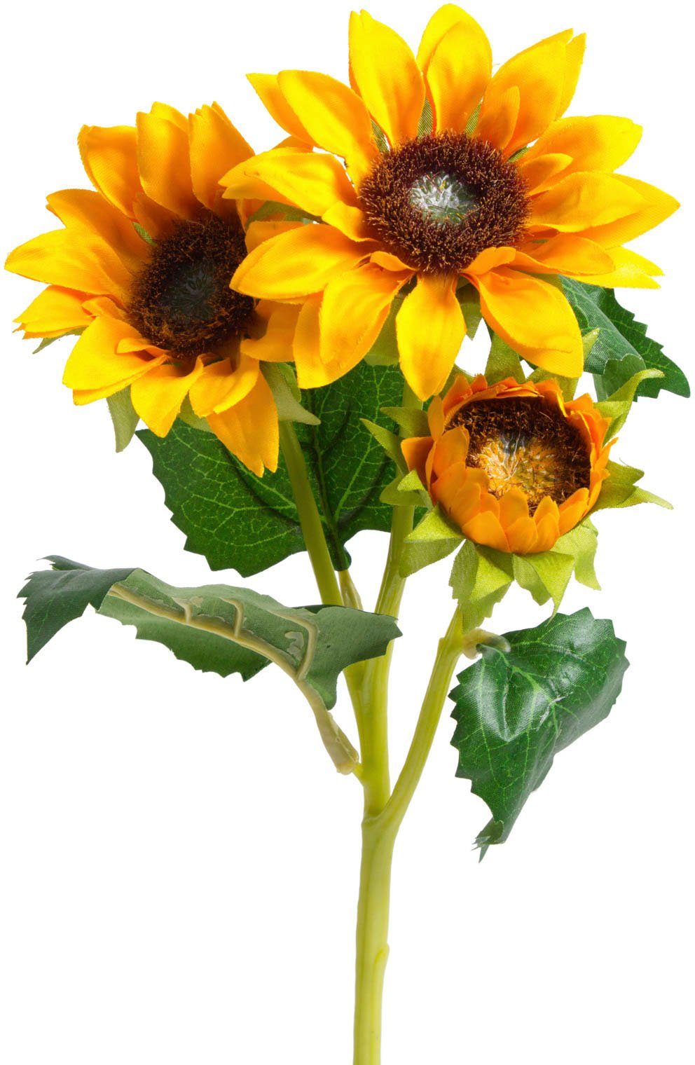 Kunstblume Sonnenblume Sonnenblume, cm Höhe Botanic-Haus, 38