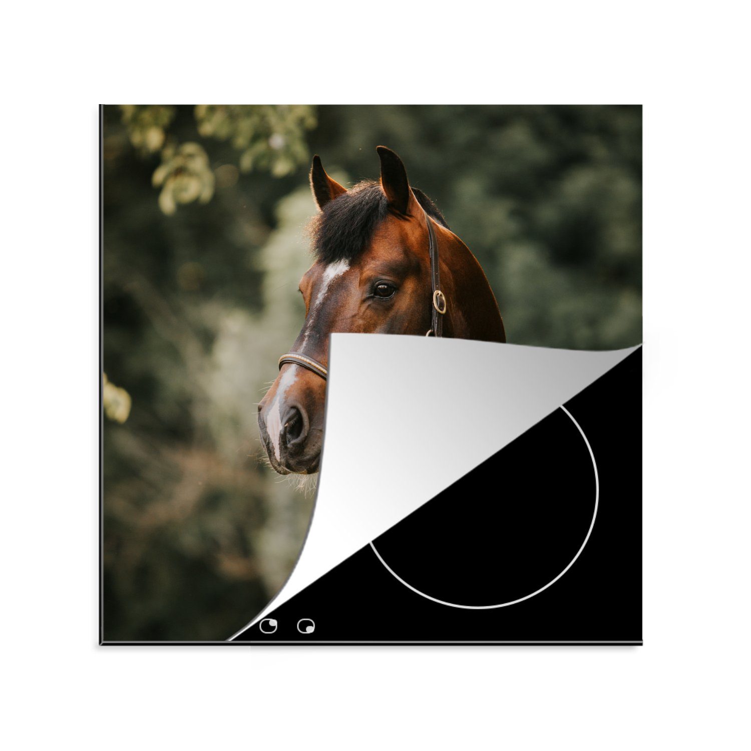 MuchoWow Herdblende-/Abdeckplatte Pferd - Äste - Porträt, Vinyl, (1 tlg), 78x78 cm, Ceranfeldabdeckung, Arbeitsplatte für küche