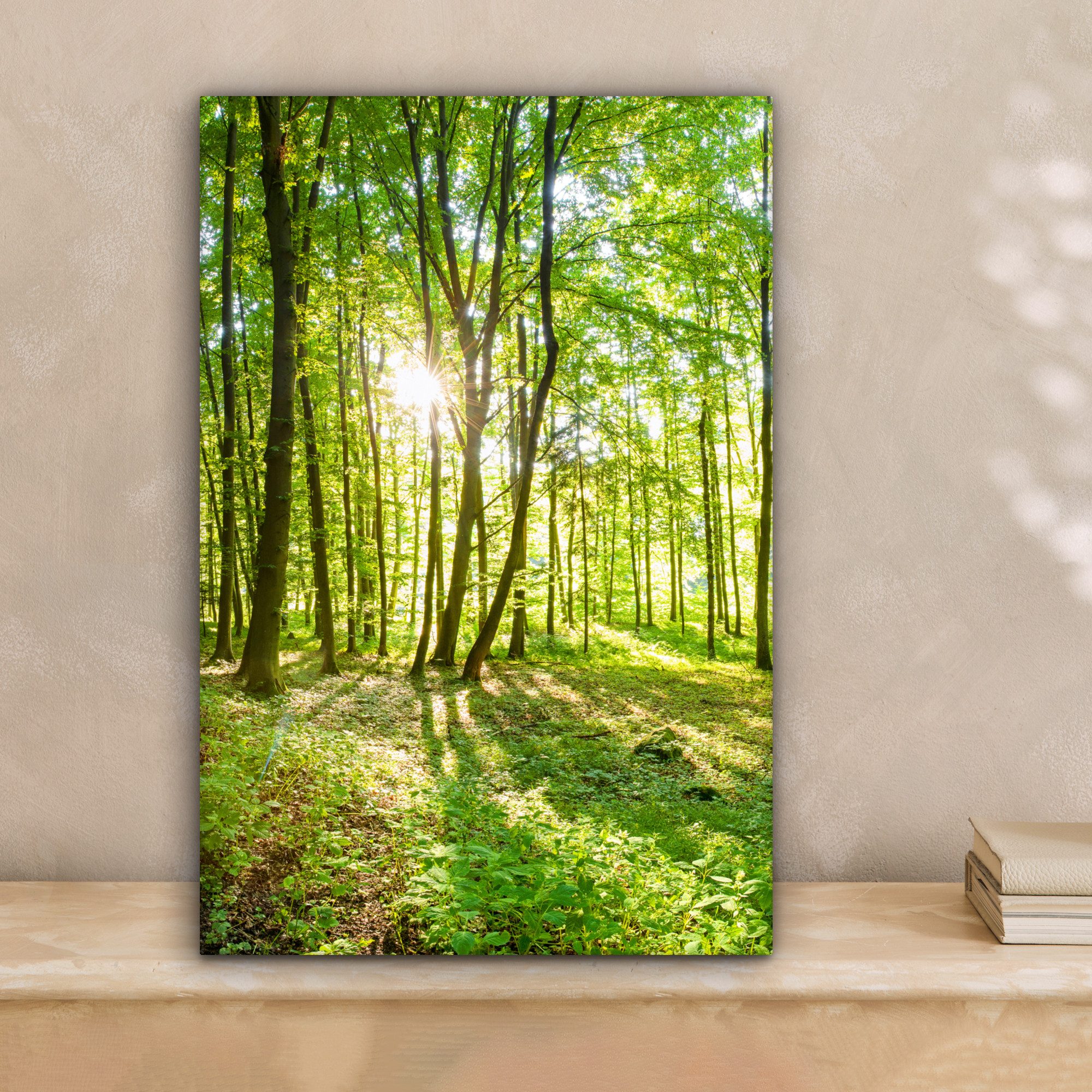 OneMillionCanvasses® Leinwandbild Natur - Bäume - Wald - Grün - Sonnenlicht günstig online kaufen
