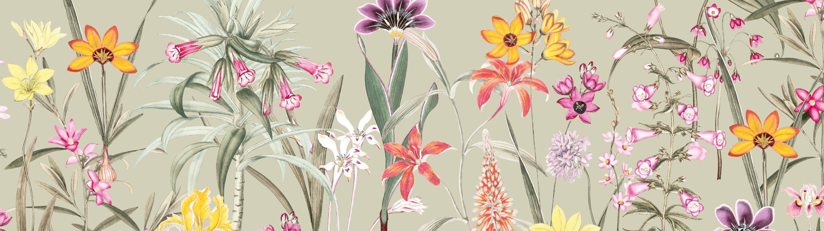 Garden Botanical - anna Bordüre wand selbstklebend - Blumen selbstklebend, floral, mehrfarbig/grün-beige /