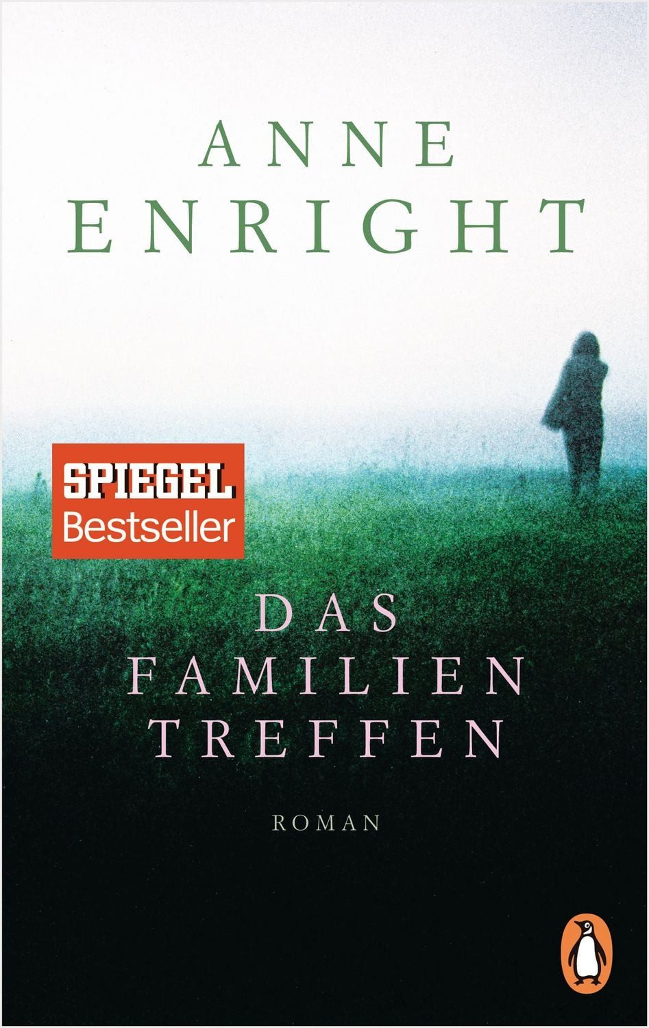 Das Familientreffen / Anne Enright