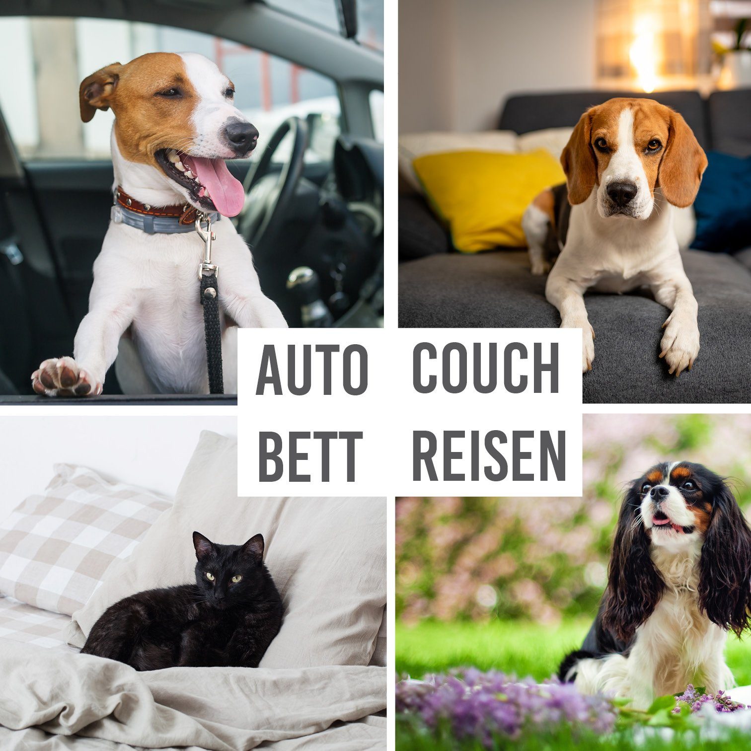 KaraLuna Tierdecke Wasserdichte Hundedecke I Autodecke Sofadecke Hund Katze Decke, Wasserdicht, Wasserdicht – Bild 4 von 5