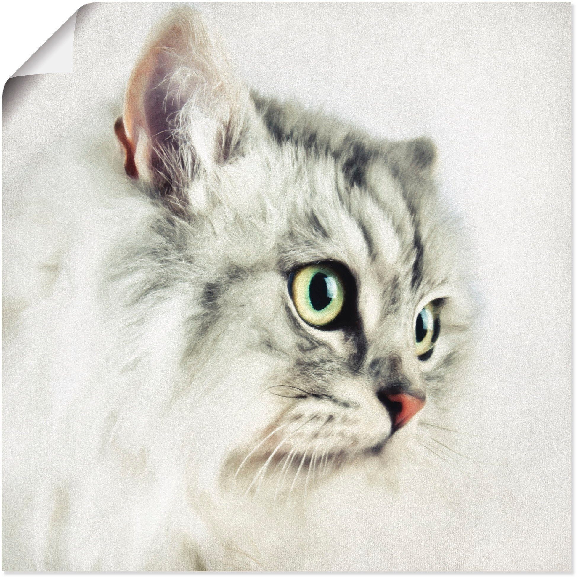 Outlet-Besonderheit Artland Wandbild Katzenporträt, Haustiere Leinwandbild, in oder als versch. Größen Wandaufkleber Poster Alubild, (1 St)