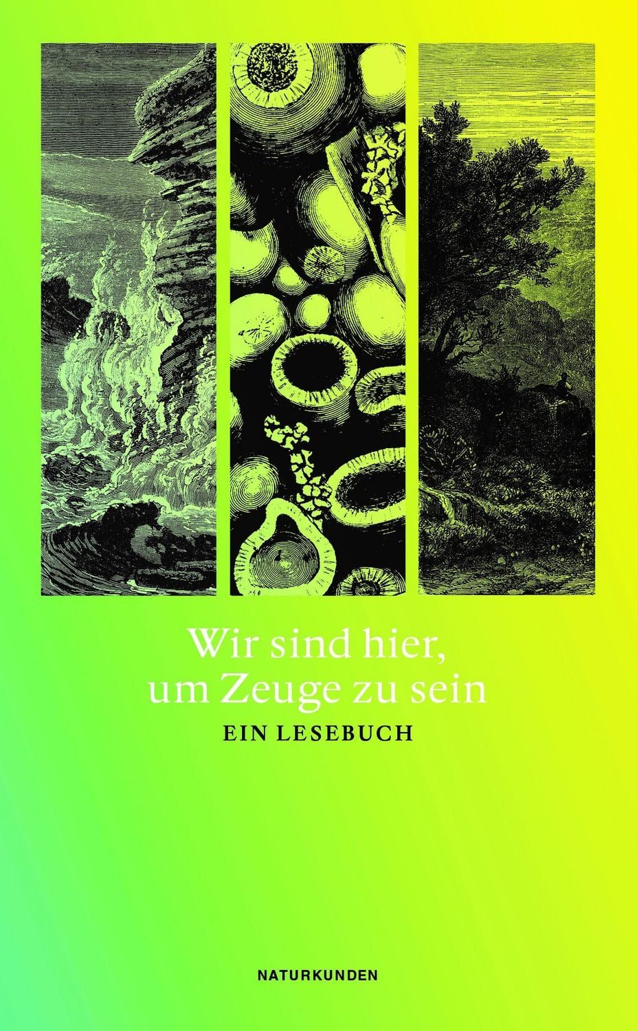Wir sind hier, um Zeuge zu sein / Judith Schalansky