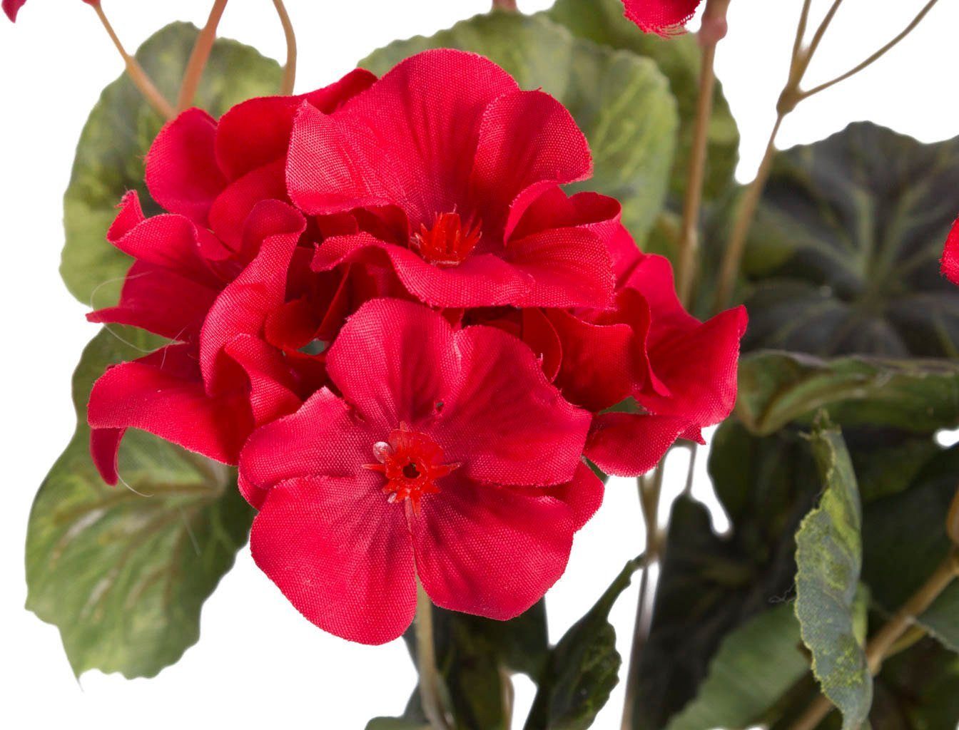 Kunstblume Geranienbusch Geranie, Höhe 37 cm Botanic-Haus