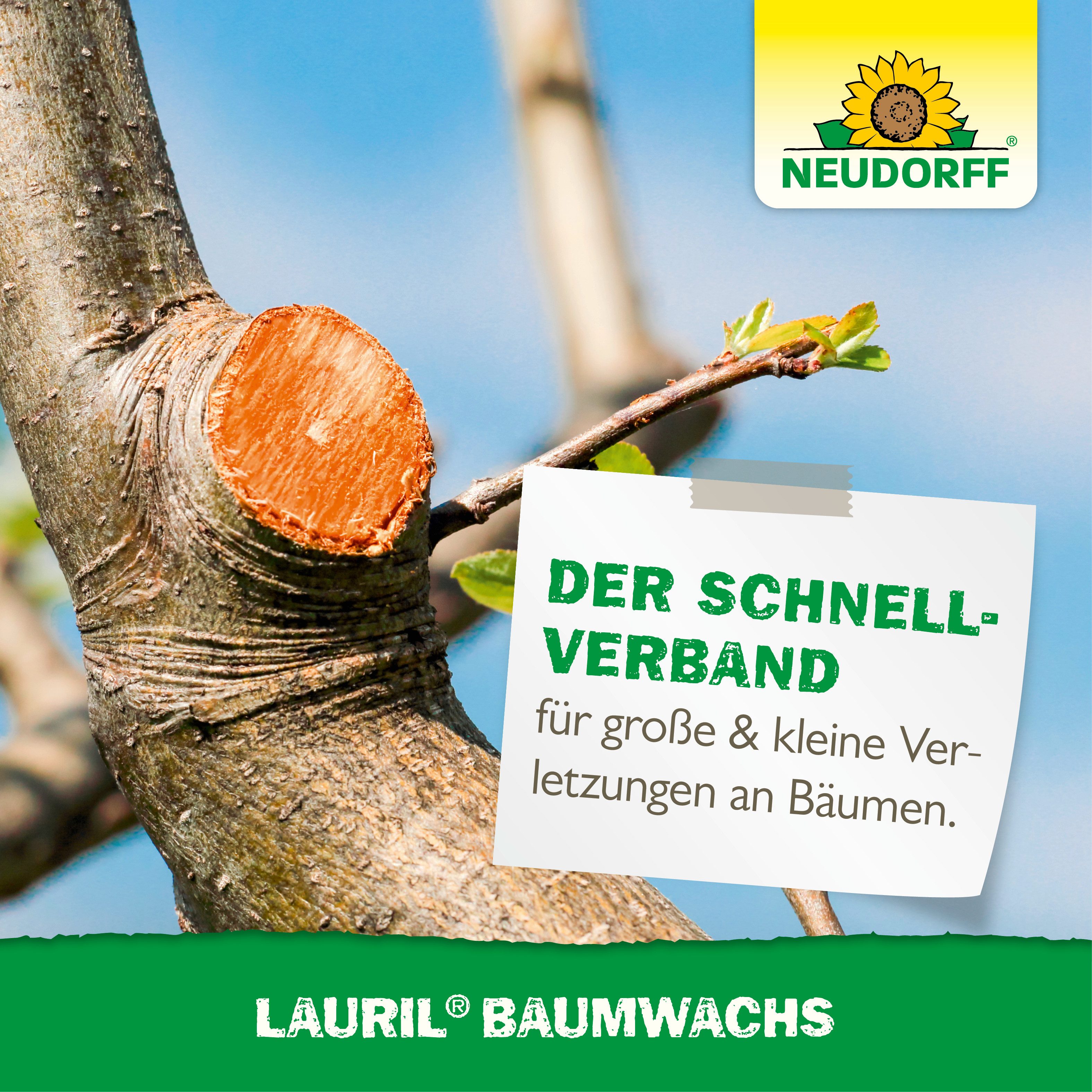 Neudorff Baumwachs Lauril Baumwachs 125 g, 125 g, 1 St., Baumwachs für Veredelungen sowie Schnitt- und Rindenwunden, 125 g gebrauchsfertiges Baumwachs, Elastischer Schutzfilm für Veredelungen und Wunden