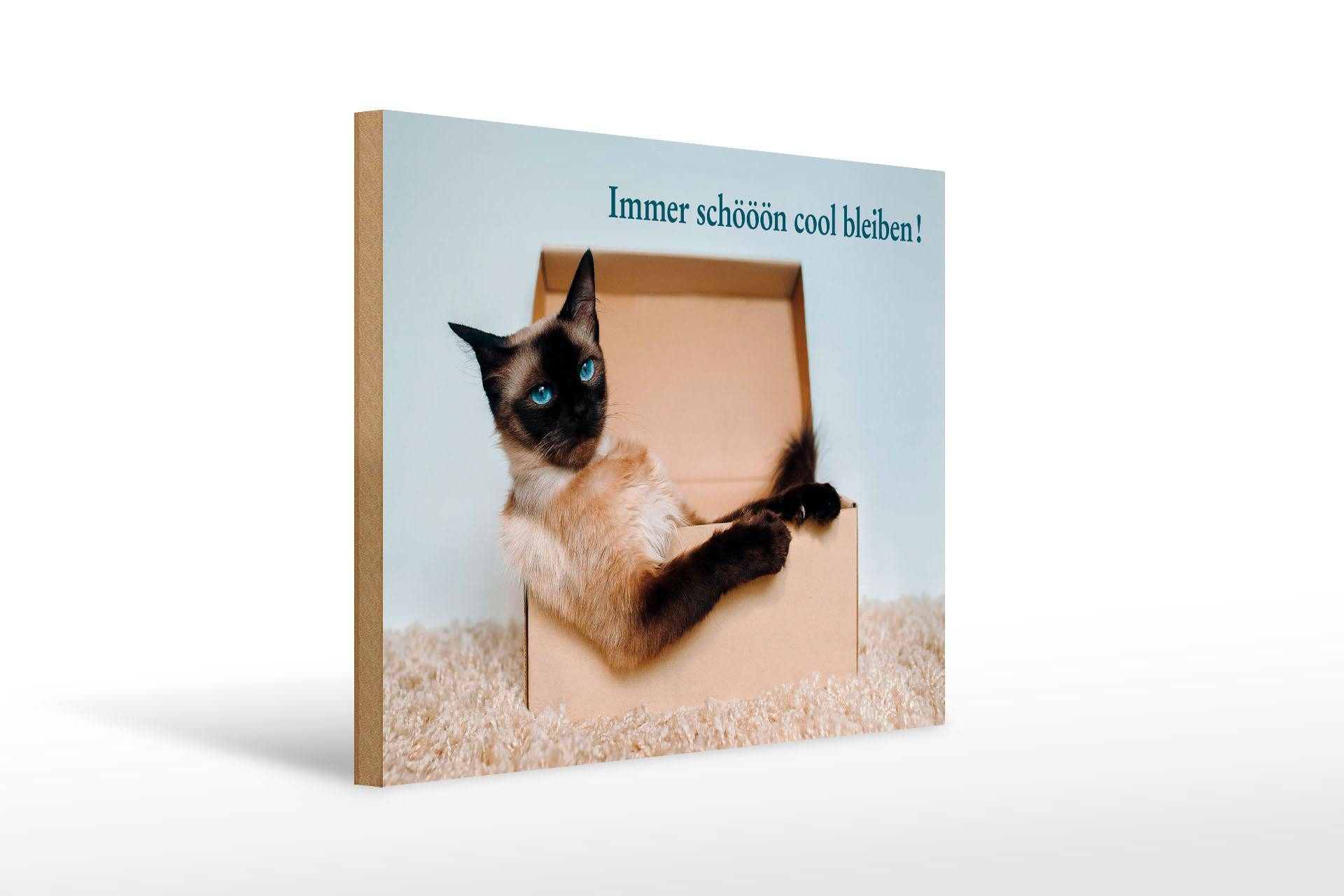 Femer GmbH Holzbild Spruch 30x40 cm Katze im Karton Immer Schön cool bleiben, (1 St), Glatte Holzfaserplatte (MDF), vorn beschichtet