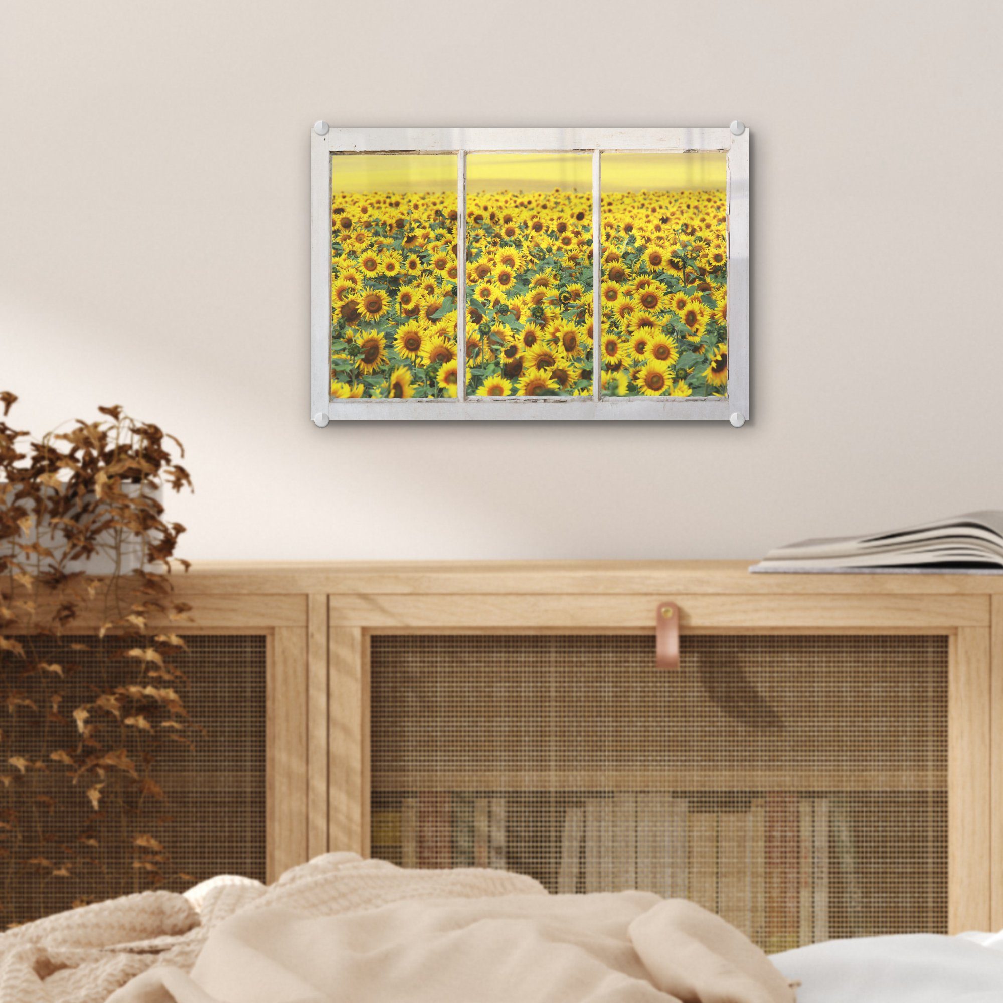 - Acrylglasbild Sonnenblume St), - MuchoWow Transparent Bilder Glasbilder - auf Gelb, Glas (1 Foto Wandbild - - auf Wanddekoration Glas