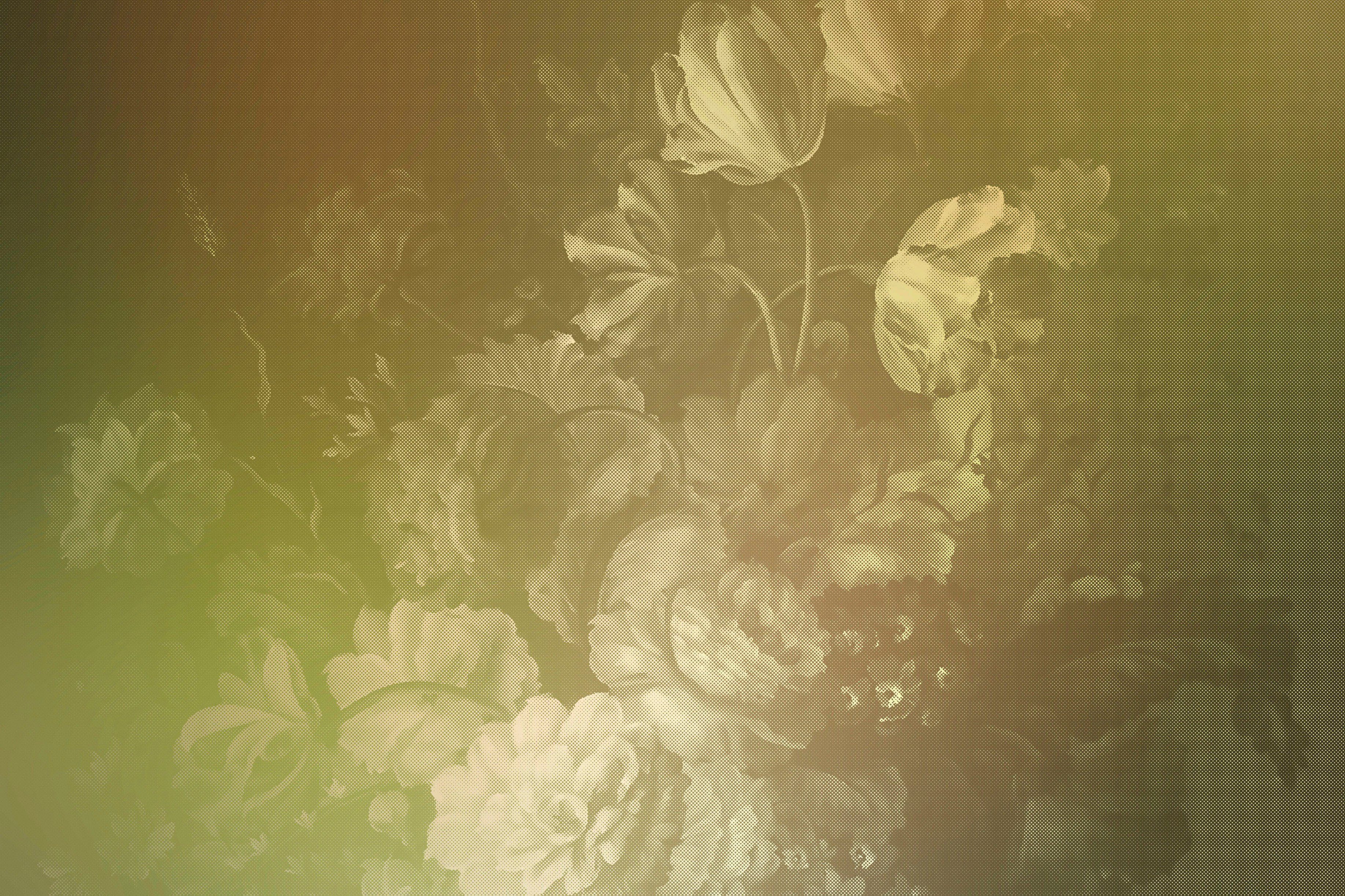 Keilrahmen Création pastel, St), (1 Blumen Leinwandbild Rosen Bild gelb A.S. Floral dutch