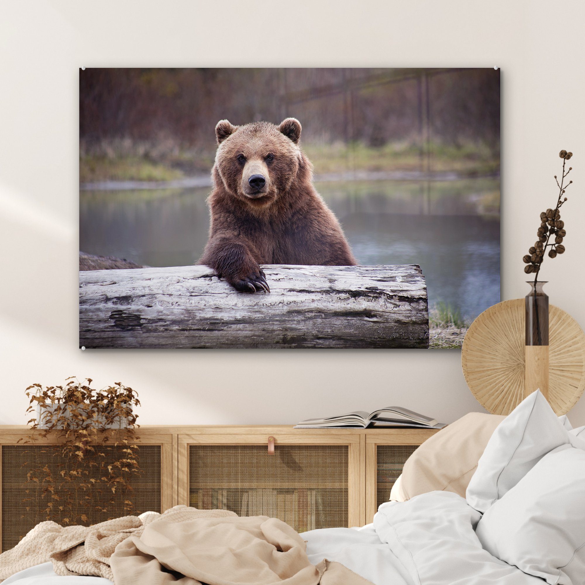 einem (1 Acrylglasbilder Acrylglasbild MuchoWow St), Wohnzimmer Grizzlybären Schlafzimmer & Bild Hintergrund, verblassten eines vor