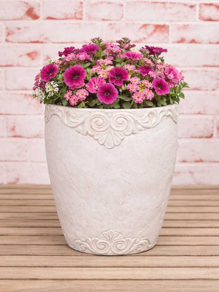 AltoBelli Blumentopf AltoBelli Blumentopf ADELINA Zement Antik Grau Patina 13x11 cm