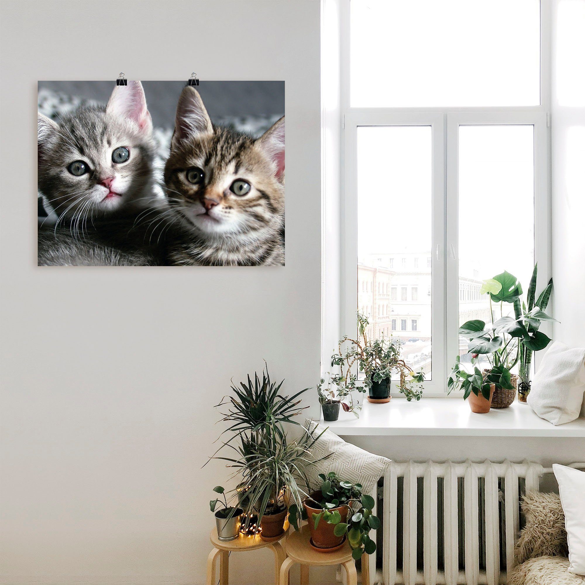 Artland Wandbild Katze, Haustiere (1 St), als Leinwandbild, Poster in verschied. Größen