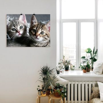 Artland Wandbild Katze, Haustiere (1 St), als Alubild, Outdoorbild, Leinwandbild, Poster, Wandaufkleber