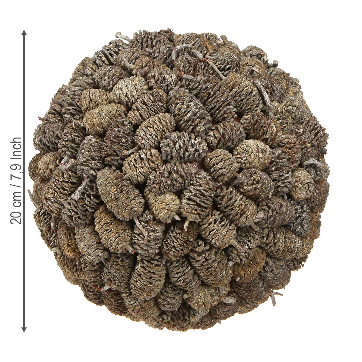 Trockenblume Hängedeko Kugel mit künstlichen Erlenzapfen für stilvolle, Florists Products, Höhe 28 cm